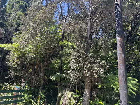 Undisclosed, Volcano, HI 96785