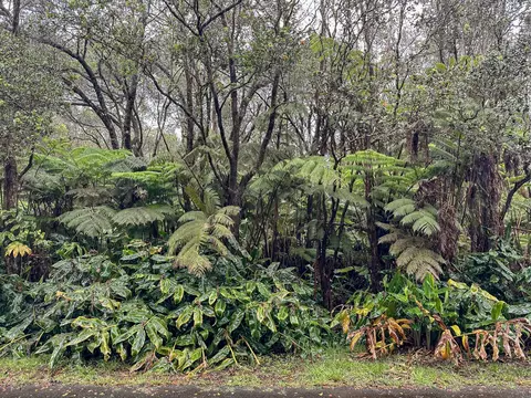 11-3820 5th St, Volcano, HI 96785