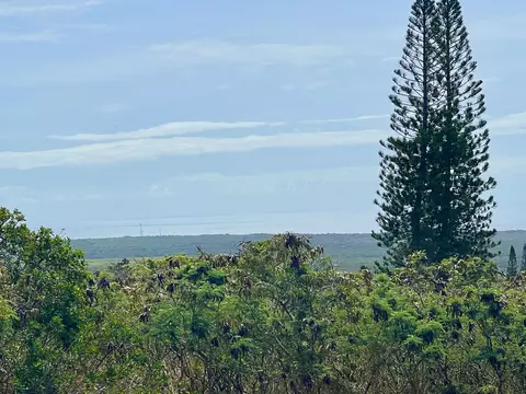 Hekau St, Naalehu, HI 96772