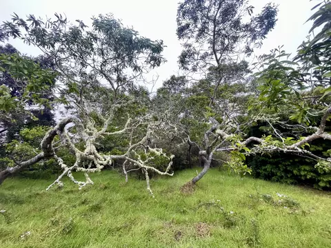99-1945 Pukeawe Cir, Hawaiian Natl Park, HI 96718