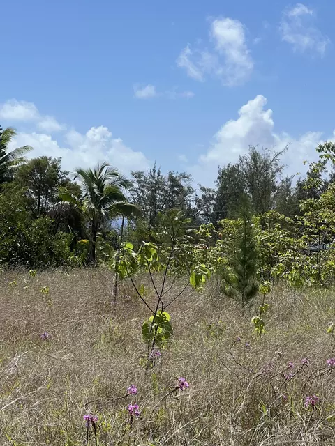 Oliana Dr, Pahoa, HI 96778