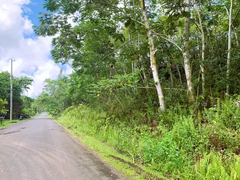 Pomaikai St, Pahoa, HI 96778