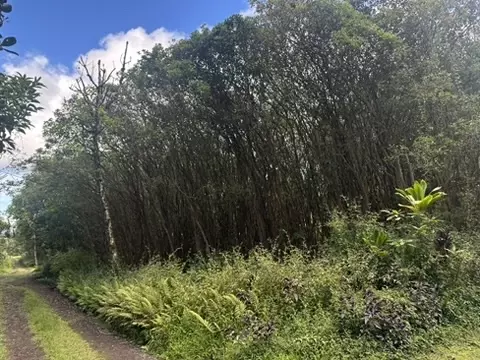 12-559 Hawaii St, Pahoa, HI 96778