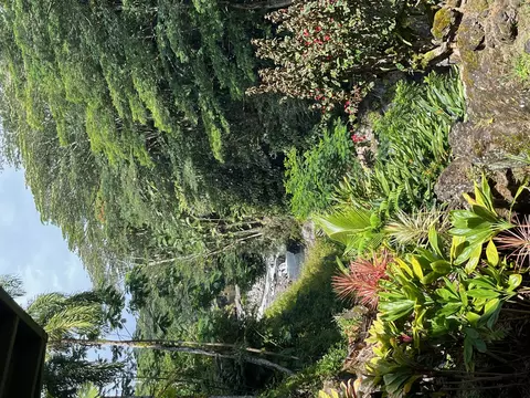 254 Kaiulani St, Hilo, HI 96720