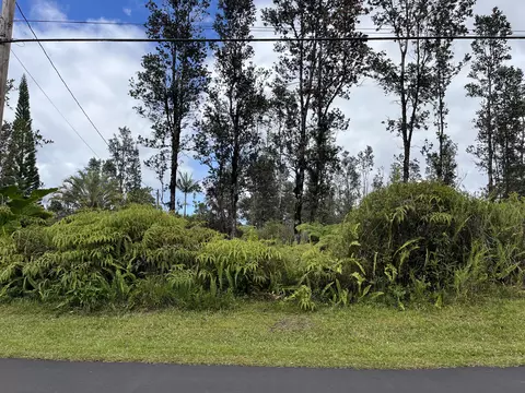 Lehua St, Mountain View, HI 96771