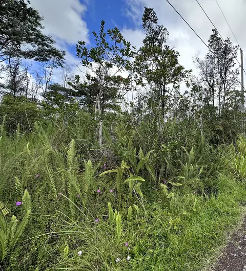 Undisclosed, Ocean View, HI 96737