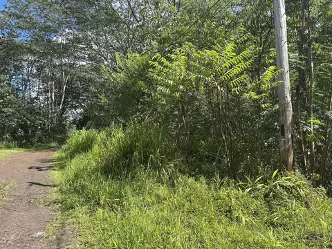 Tiki Rd, Kurtistown, HI 96760