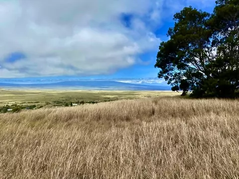 62-1750 Ohiaku Pl, Kamuela, HI 96743