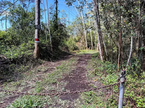 37 Th Ave, Keaau, HI 96749