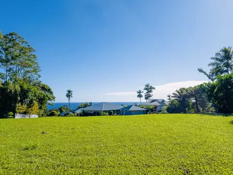 29-2291 Hanamalo Loop, Hakalau, HI 96710