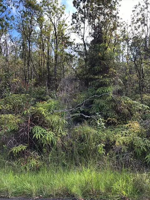 Heno St, Volcano, HI 96785