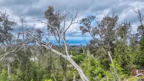 Orchid Pkwy, Ocean View, HI 96737