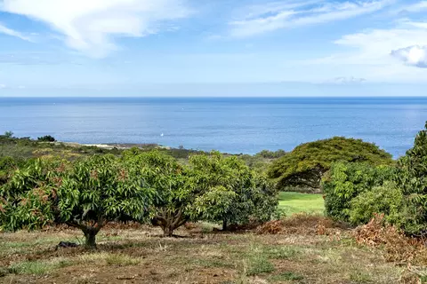Undisclosed, Kealakekua, HI 96750