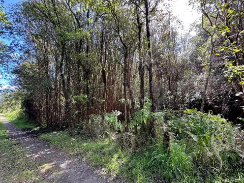 Road 11, Volcano, HI 96785 photo 3