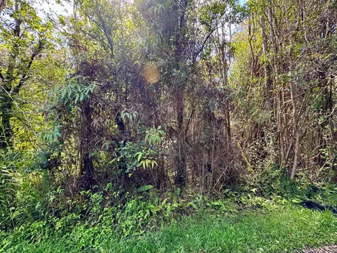 Road 11, Volcano, HI 96785 photo 2
