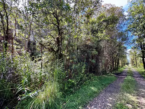 Road 11, Volcano, HI 96785 photo 4