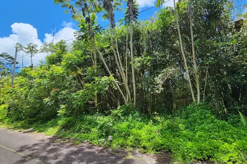 Sandalwood Ct, Pahoa, HI 96778