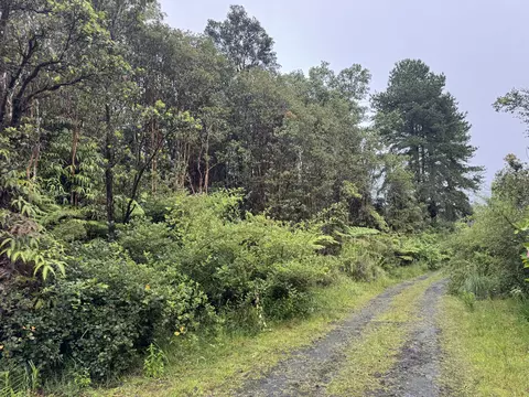 Road 6, Volcano, HI 96785