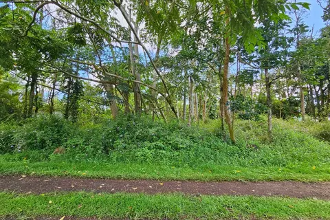 Priscilla Rd, Pahoa, HI 96778