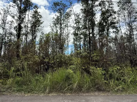 Road F, Mountain View, HI 96760