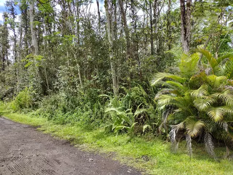 hilo rd, Pahoa, HI 96778