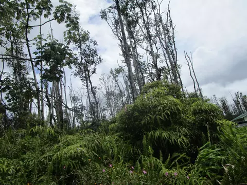 Bamboo Dr, Pahoa, HI 96778