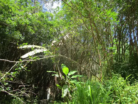 Lanai St, Pahoa, HI 96778
