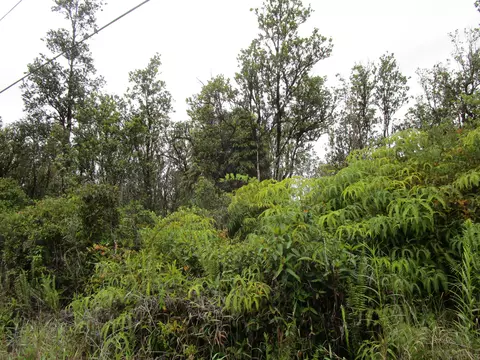 Malia Aina Rd, Volcano, HI 96785 photo 2