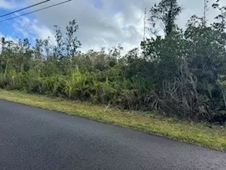 Tree Fern Dr, Pahoa, HI 96778