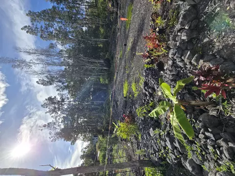 12-4336 Iolani St, Pahoa, HI 96778