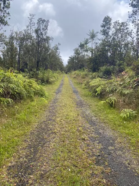 11-2724 Uakoko Rd, Volcano, HI 96785