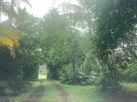 16-1265 40th Ave, Keaau, HI 96749
