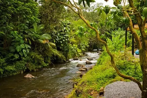289 Wainaku St, Hilo, HI 96720