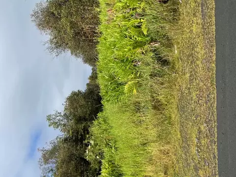 18-2019 Pua St, Volcano, HI 96785
