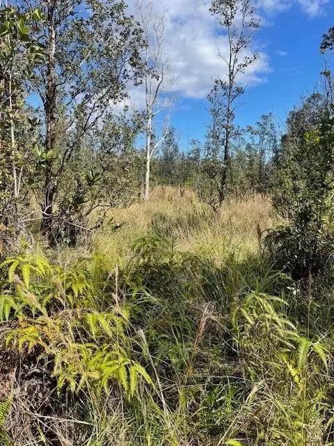 Road 6, Mountain View, HI 96760