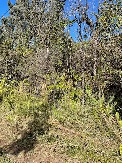 Road 6, Mountain View, HI 96760
