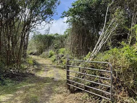 Kahukai St, Pahoa, HI 96778