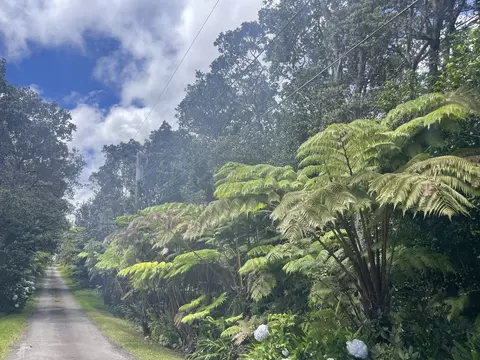 19-4122 Kalani Honua Loop, Volcano, HI 96785