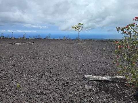 Undisclosed, Ocean View, HI 96737 photo 6