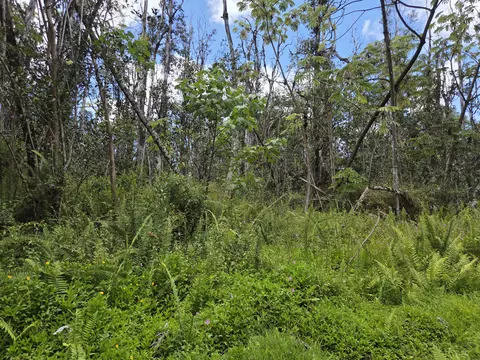 Oahu Rd, Pahoa, HI 96778