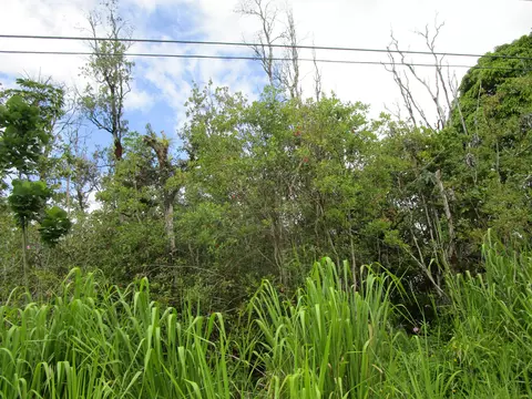 31 St Ave, Keaau, HI 96749