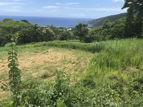 83-1025 Kahauloa Pl, Captain Cook, HI 96704