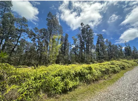 Road 5, Kurtistown, HI 96760