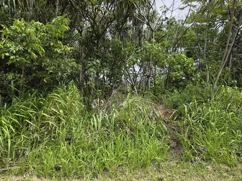 Wehelauniu St, Pahoa, HI 96778