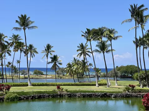 68-1399 Mauna Lani Dr #D201, Kamuela, HI 96743