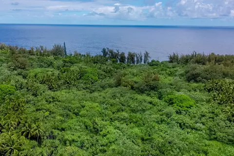 Old Government Rd, Pahoa, HI 96778
