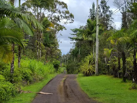 Road 4, Mountain View, HI 96760