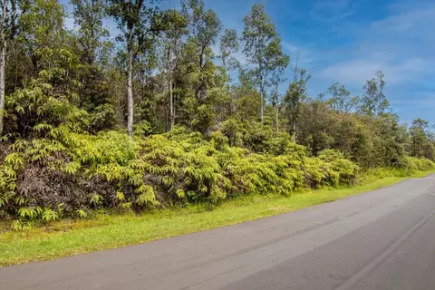 Lehua St, Mountain View, HI 96771