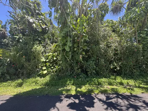 Palani St, Pahoa, HI 96778