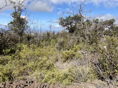 Undisclosed, Ocean View, HI 96737